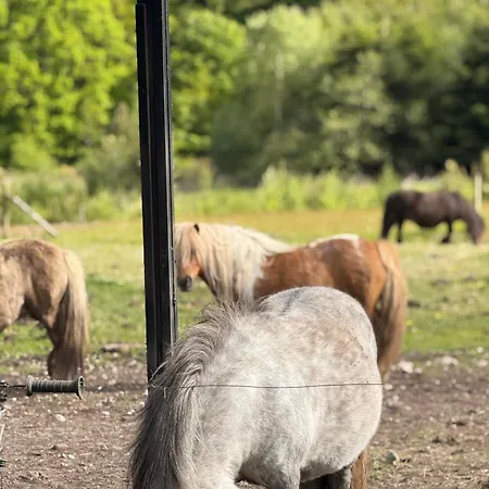 Holmsminde Bed & Breakfast 4*