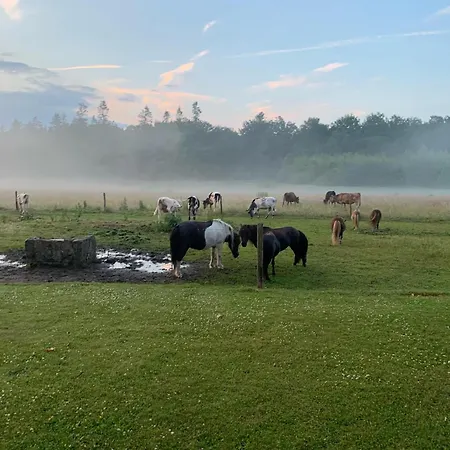 Holmsminde Viborg
