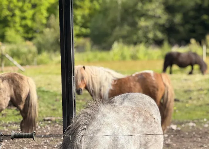 Holmsminde Bed and breakfast 4*